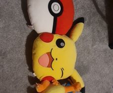 Pokemon Teddies Large