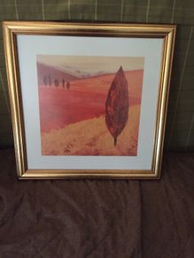 Gold framed print
