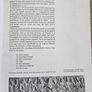You Can Say That Again. Common Prayer In The Church Of Ireland. By Hilary Pyle. First Edition Large Volume Paperback In Good Condition. Image 9