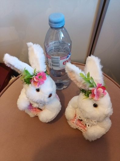 2 Easter bunnies from Carraig Donn