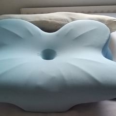 Spine Protective Pillow