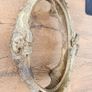 Large Antique French Brass Rococo Footed Jardiniere ( not cleaned ) Image 2