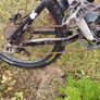 mountain bike Image 5