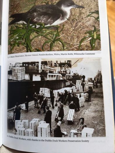 The Turning Tide:A Biography of the Irish Sea