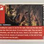 Jurassic Park cards Image 8