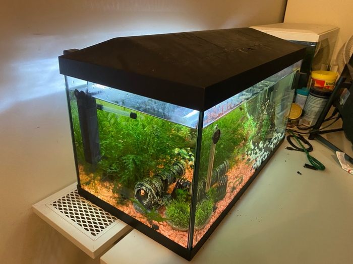 60L fish tank