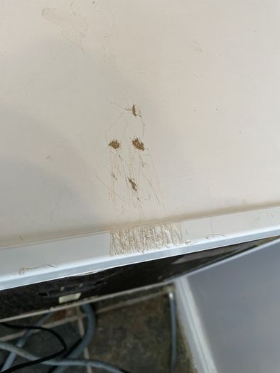 Dishwasher
