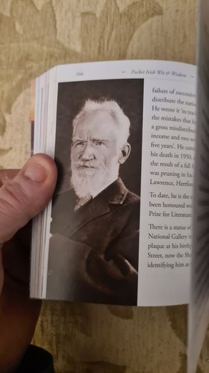 Pocket Irish With And Wisdom. Hardback In Very Good Condition.