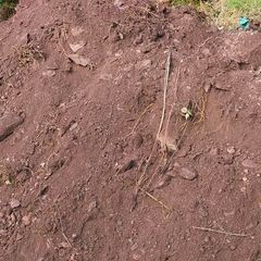 free Topsoil - Coachford Co Cork