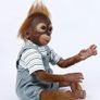 Reborn Monkey Blue or Pink Image 2