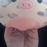 teddy squishmallows flipamallow Image 2