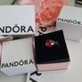 New genuine pandora charm Image 2