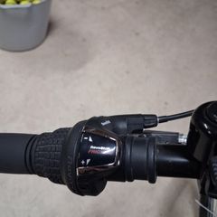 Apollo  adults bike