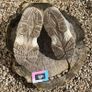 Premium Vintage Nike Grey Suede Cream Image 4