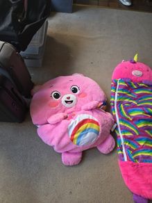 Care Bears Sleeping bags