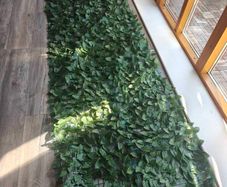 FREE artificial privacy hedge for balcony