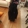 titleist stadry cart bag Image 4