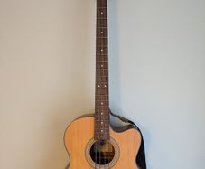 Cort acoustic bass