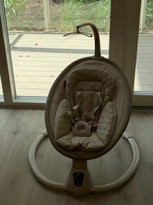 Nested Willow Baby Swing