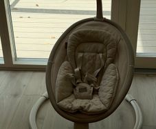 Nested Willow Baby Swing