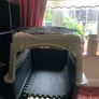 Kennel Dog Image 2