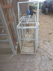 sheep weighing scales