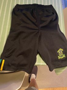 colaiste eanna shorts