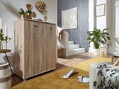 Shoe Cupboard 2 Door / 60 x 90 x 35 CM White Front High Shine 12 Pairs of shoes