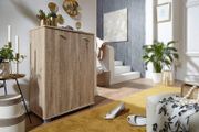 Shoe Cupboard 2 Door / 60 x 90 x 35 CM White Front High Shine 12 Pairs of shoes