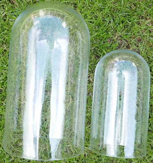 Vintage Handmade Clear Circular Glass Display Cloche Bell Dome With Black Base (dimensions visible in the photos) 50 each