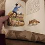 Aesops Fables Illustrated By Helen Haywood. Beautiful 1957. Illustrated Hardback In Good Condition. 35. Image 9