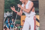 freddy mercury