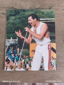 freddy mercury