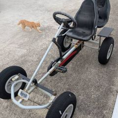 BERG 4 Wheeler, with 2 seats