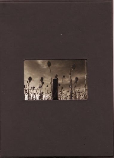 Dead Can Dance - ANASTASIS    {SE Deluxe Set}