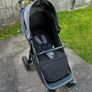 Buggy Image 3