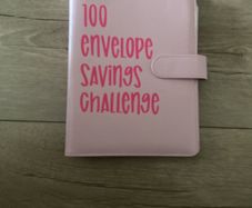 100 days saving book