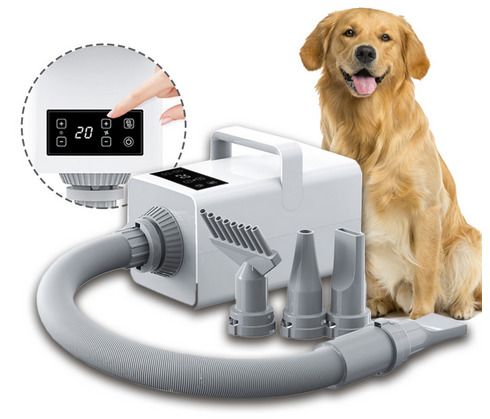Professional LED Hair Dryer for Dogs and Cats