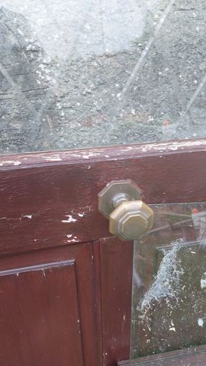 exterior wood door