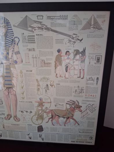 Tutankhamun -  Large Framed Print