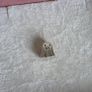 Pandora ghost charm in good condition the stamp is well used otherwise nothing wrong Image 3