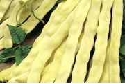 (B) Pole Beans Goldmarie seeds 15g (124121)