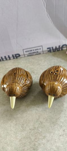 Cute little pair of New Zealand Kiwi sat and pepper shakers - vintage kitchy collectible salt and pepper shakers