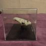 Star Wars "Millennium Falcon" Model Image 2