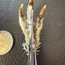 mizpah Image 4