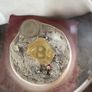 Bitcoin Memorbilia Image 3