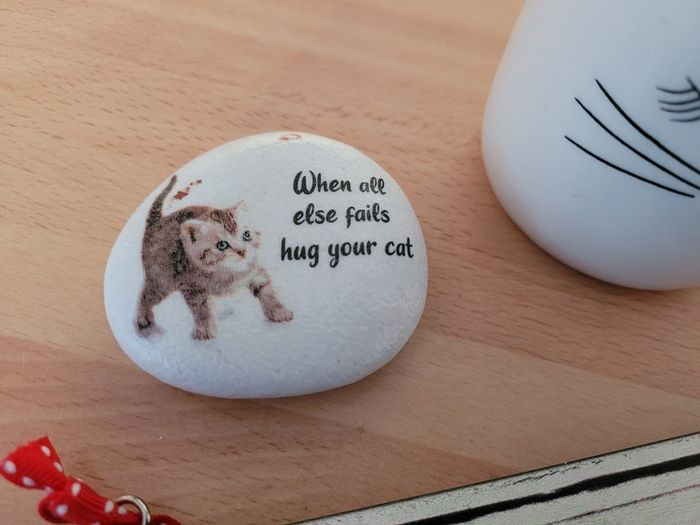 Decorations for cat lovers