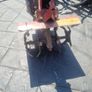 rotavator  needs fresh peteol great condition Image 3