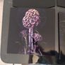 vinyl Blut Aus Nord Hallucinogen Image 2
