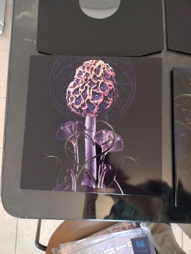 vinyl Blut Aus Nord Hallucinogen